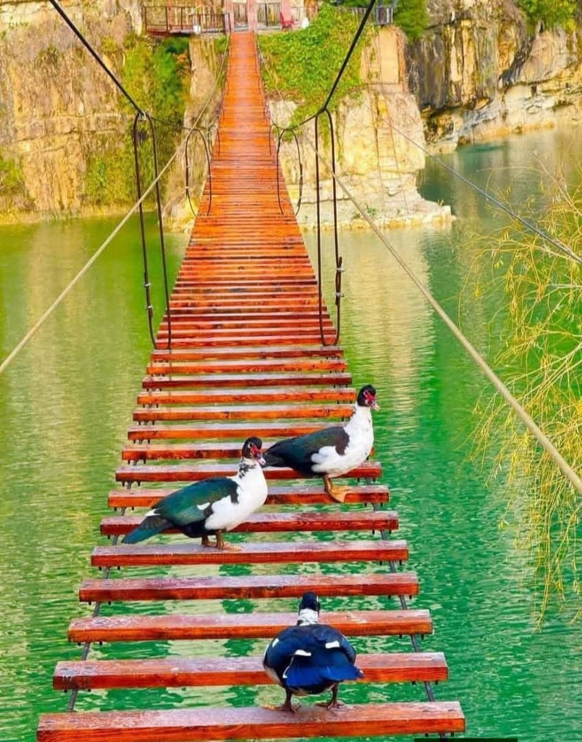 Adrenaline and Nature Day - 4