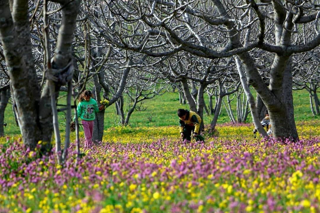 Agricultural sector